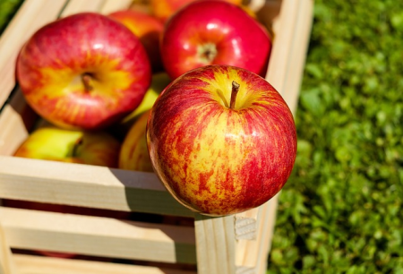 Die Gesundheit Ihrer Marke oder: An Apple A Day Keeps The Doctor Away